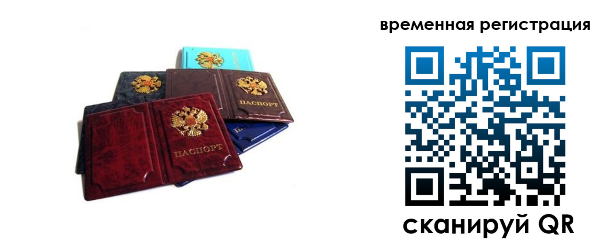 прописка гарантия в Каменке